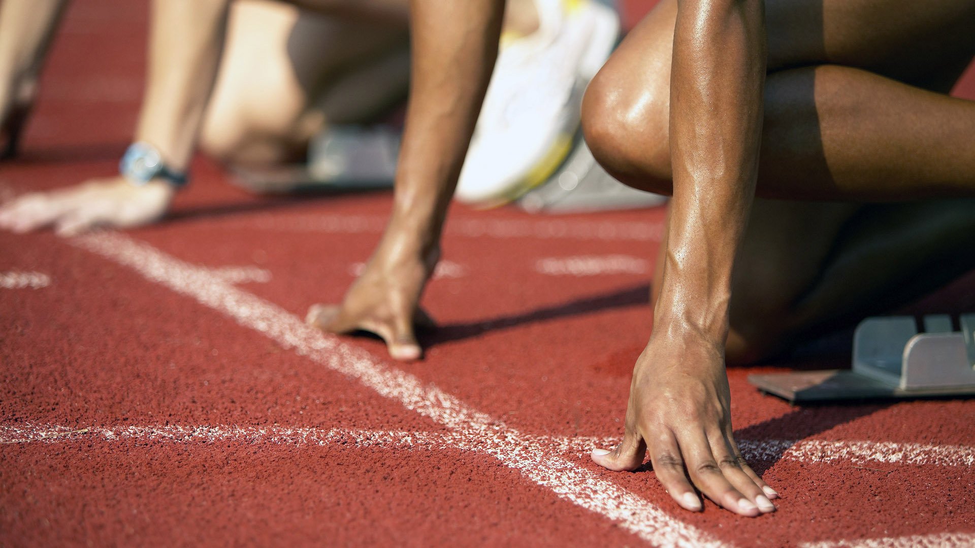 世界游泳锦标赛中国跳水队包揽金牌 全红婵十米台演出满分一跳，2021年的跳水游泳冠军